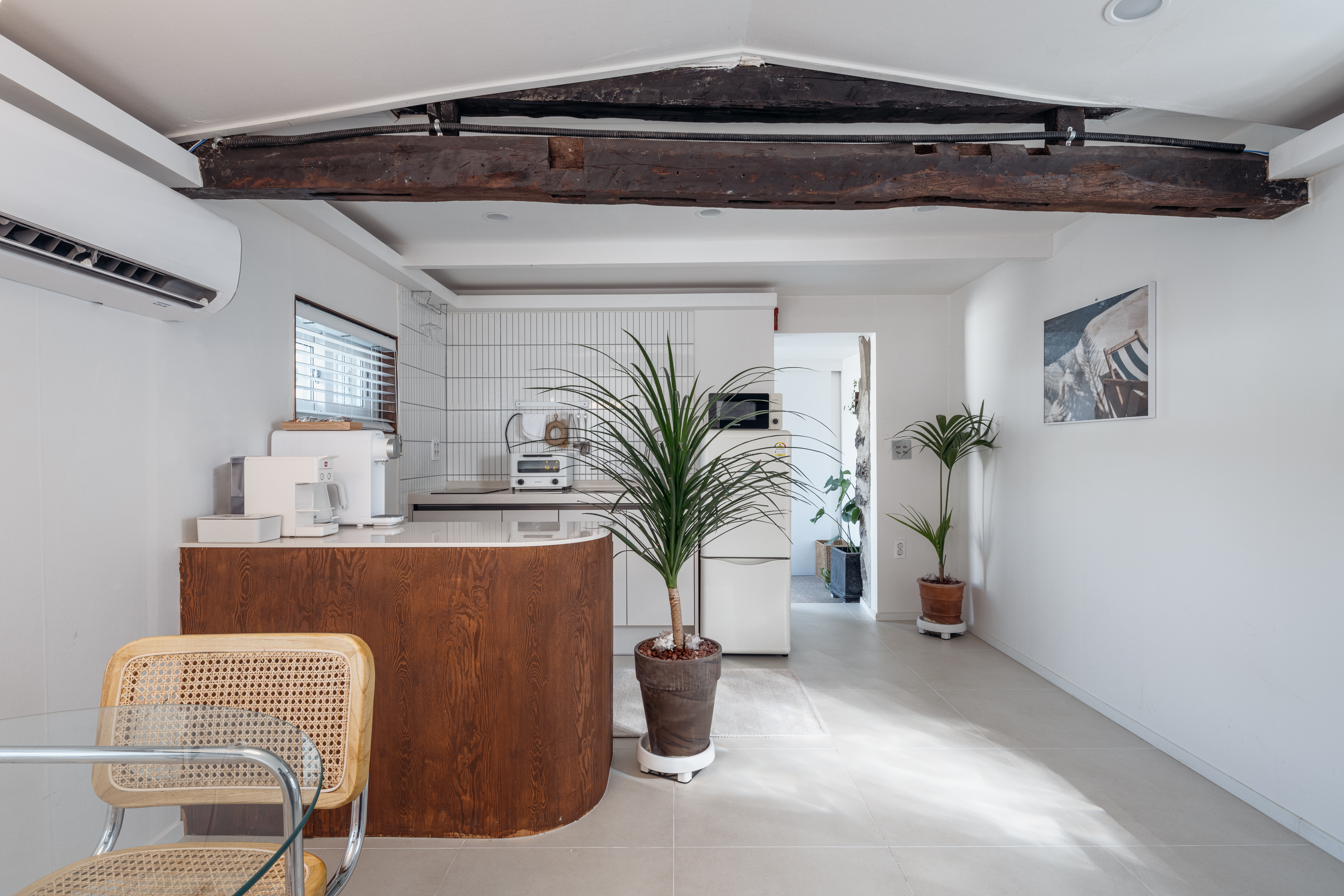 제주에선 느려도 괜찮아 | 조천 늦장 B동 4