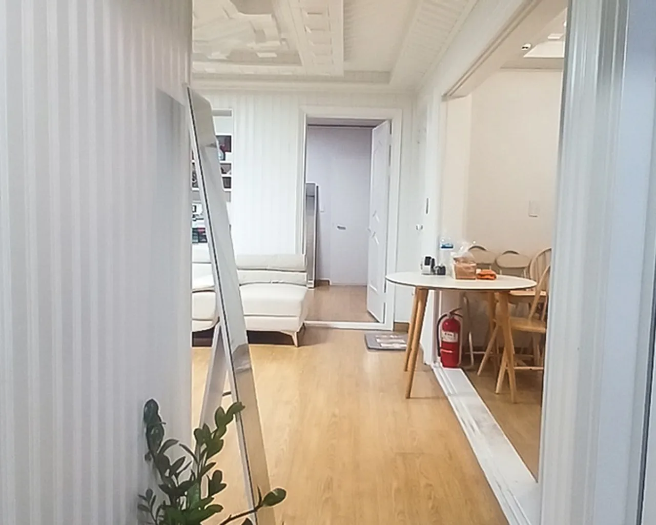 대표 사진