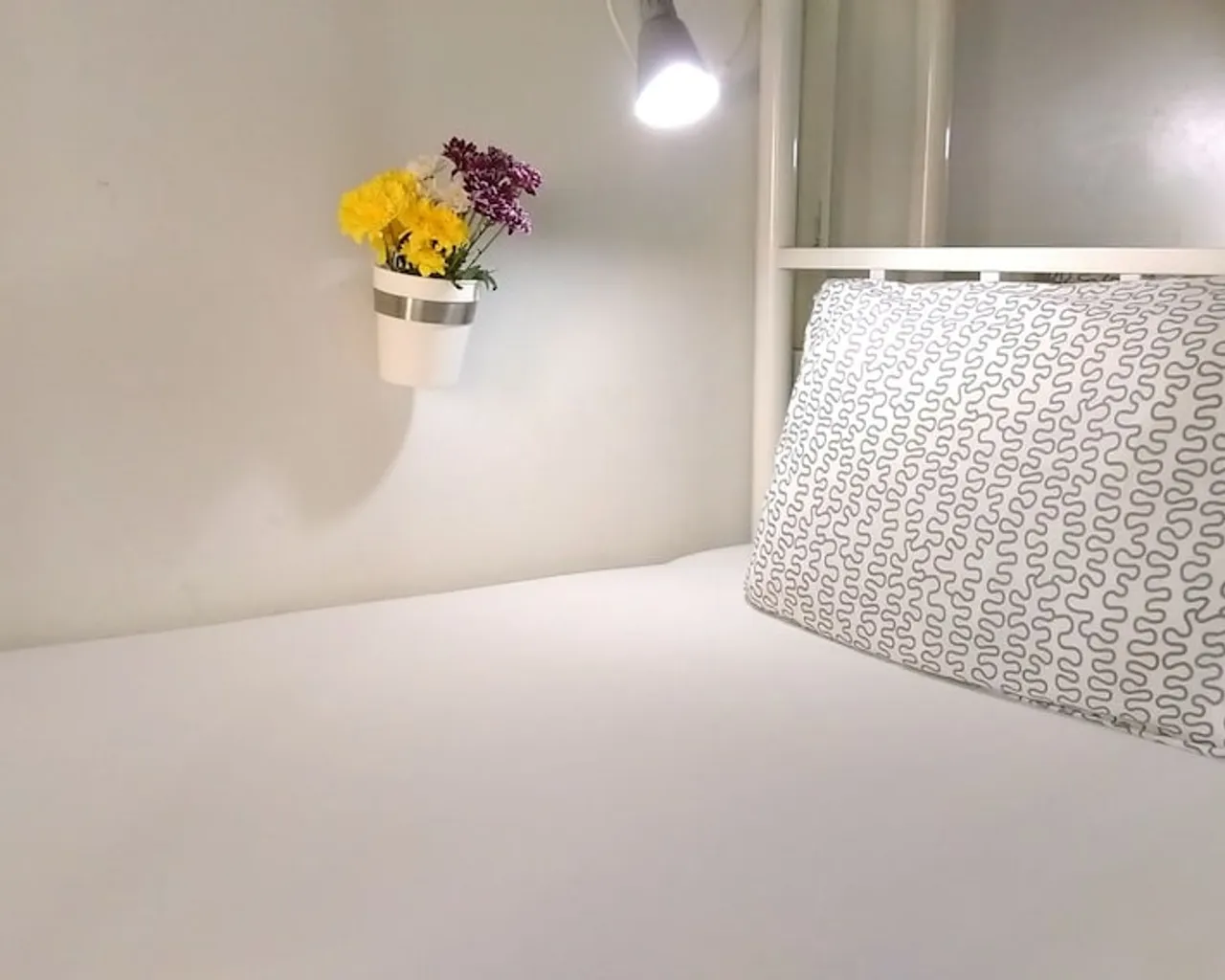 기본 이미지