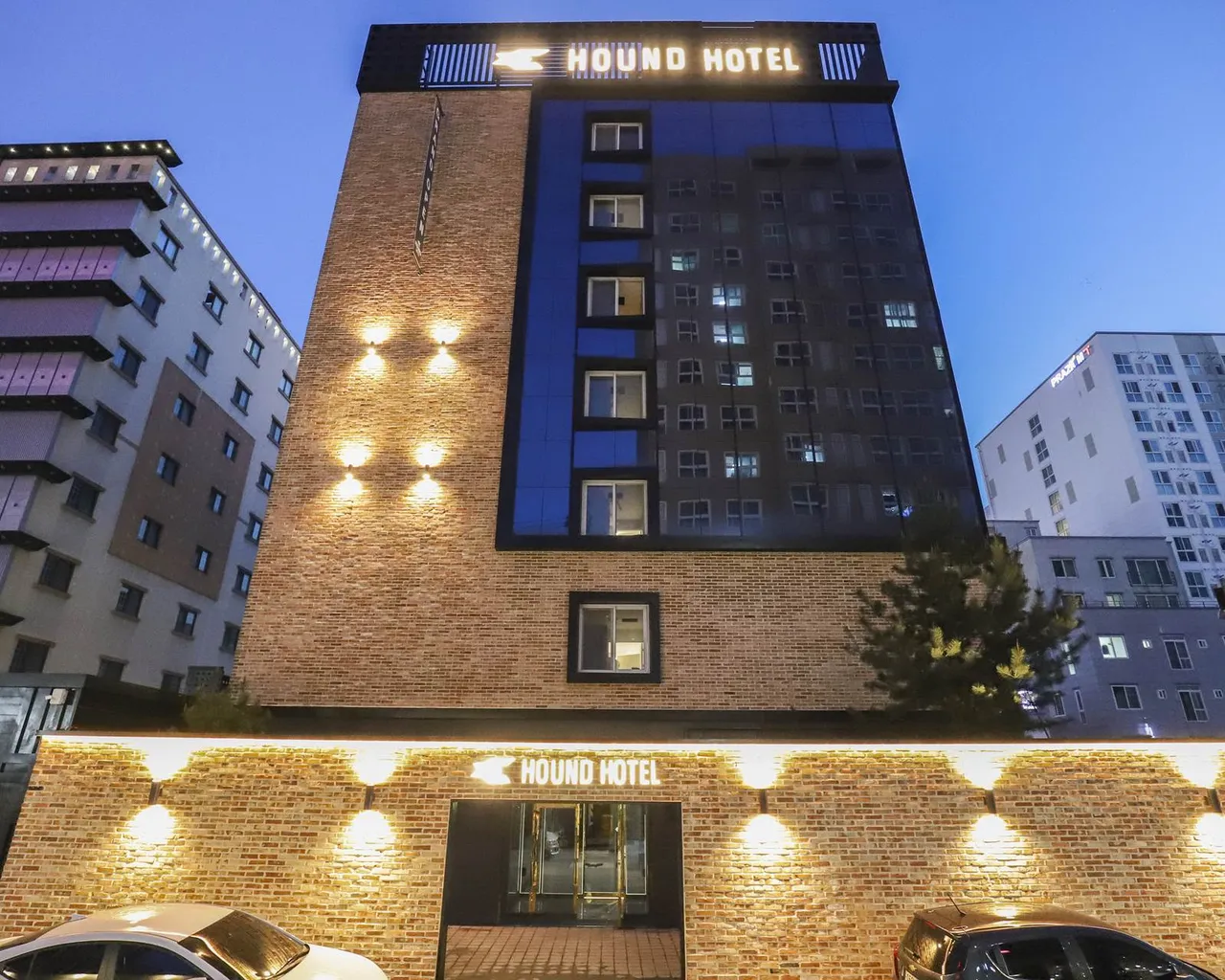 대표 사진