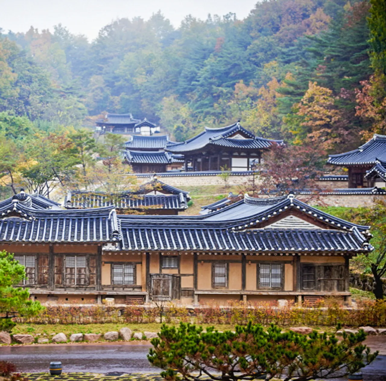 안동 전통리조트 구름에 사진
