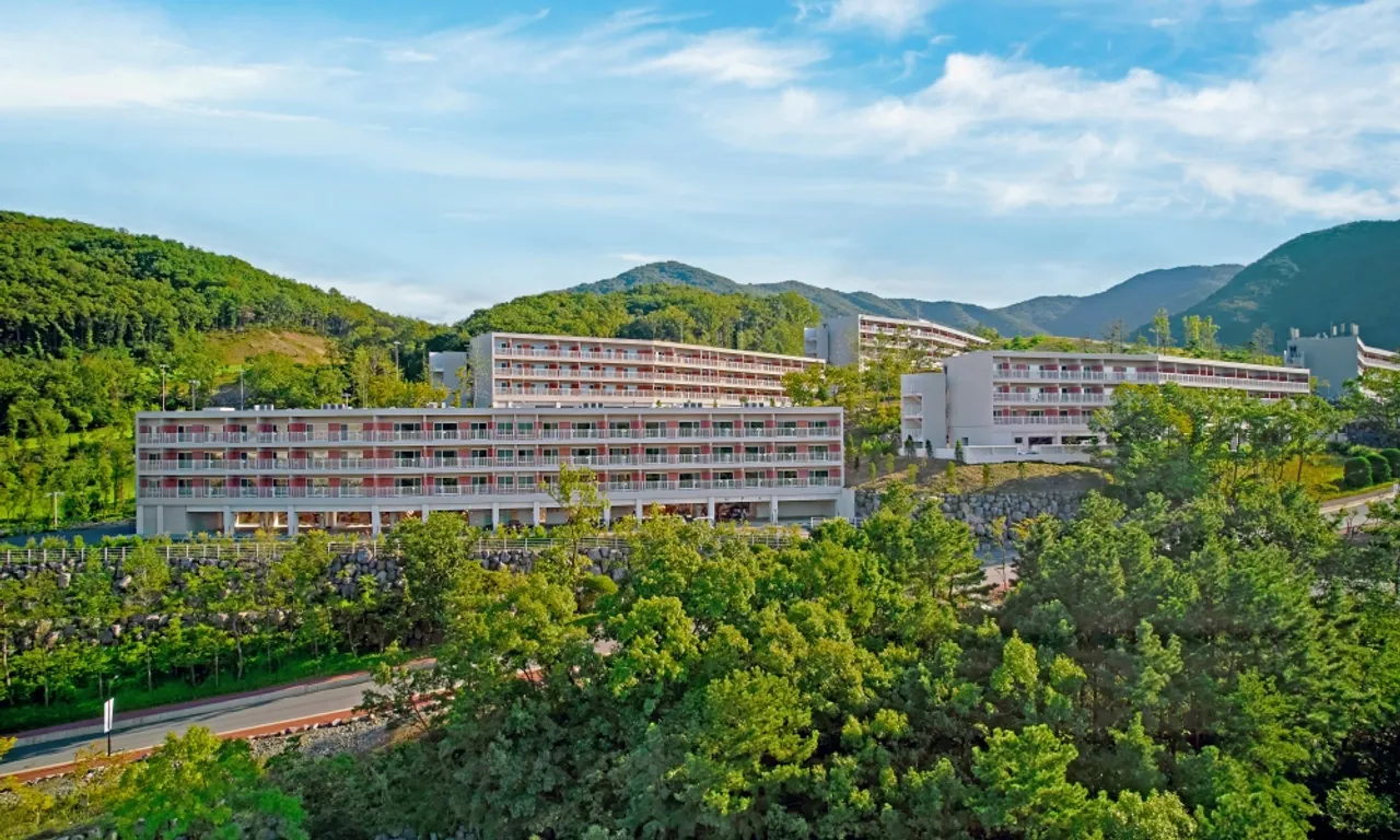 벨포레 사진