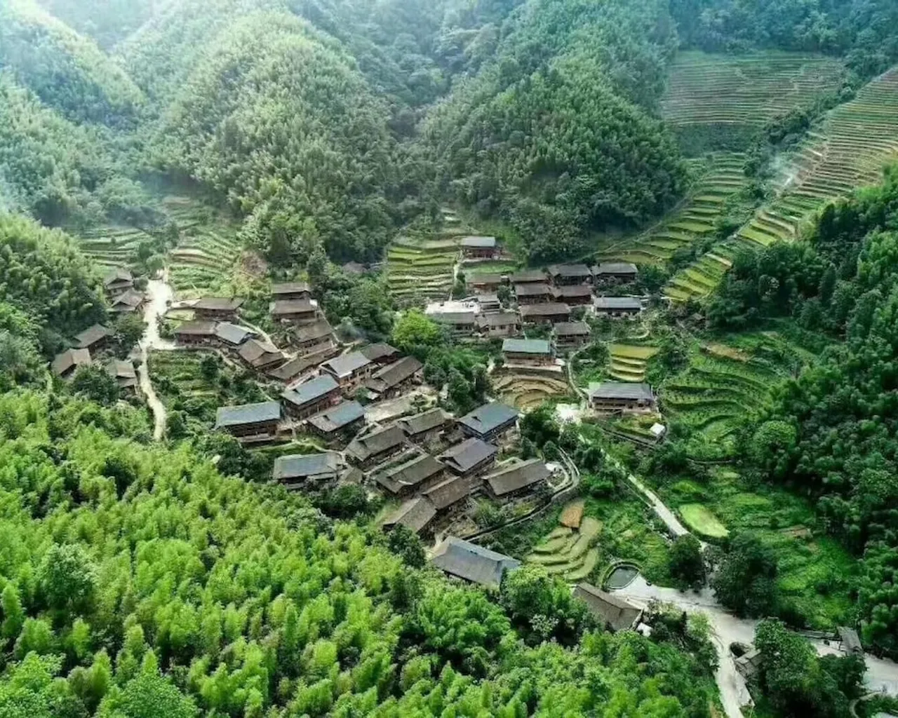 기본 이미지
