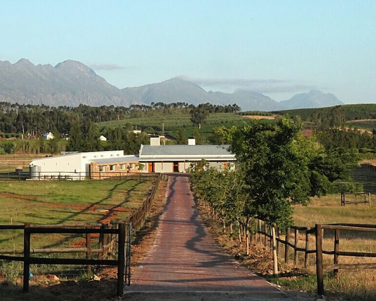 기본 이미지