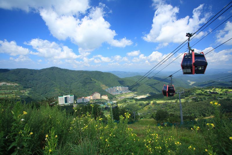 전경