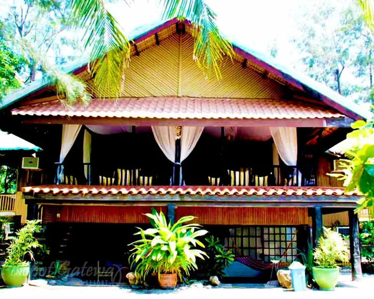 기본 이미지
