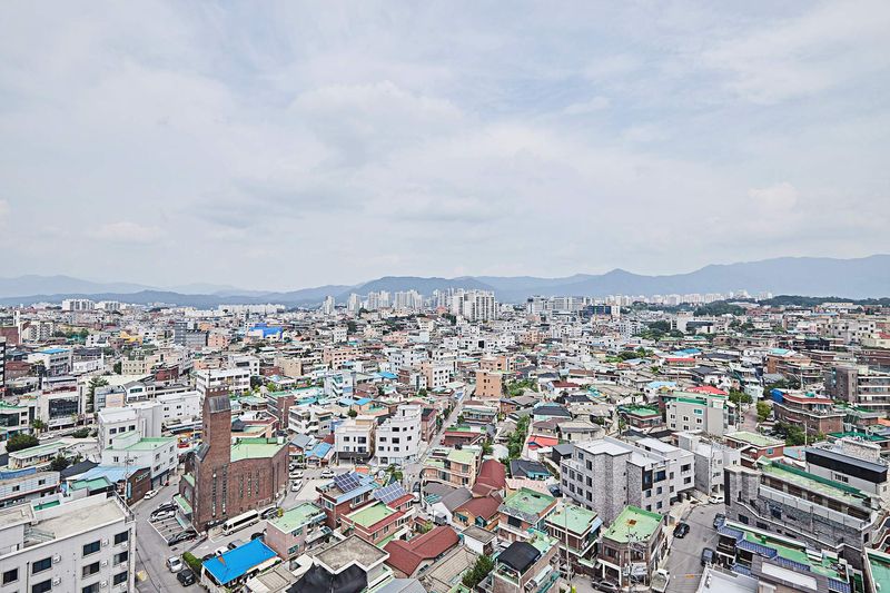기타