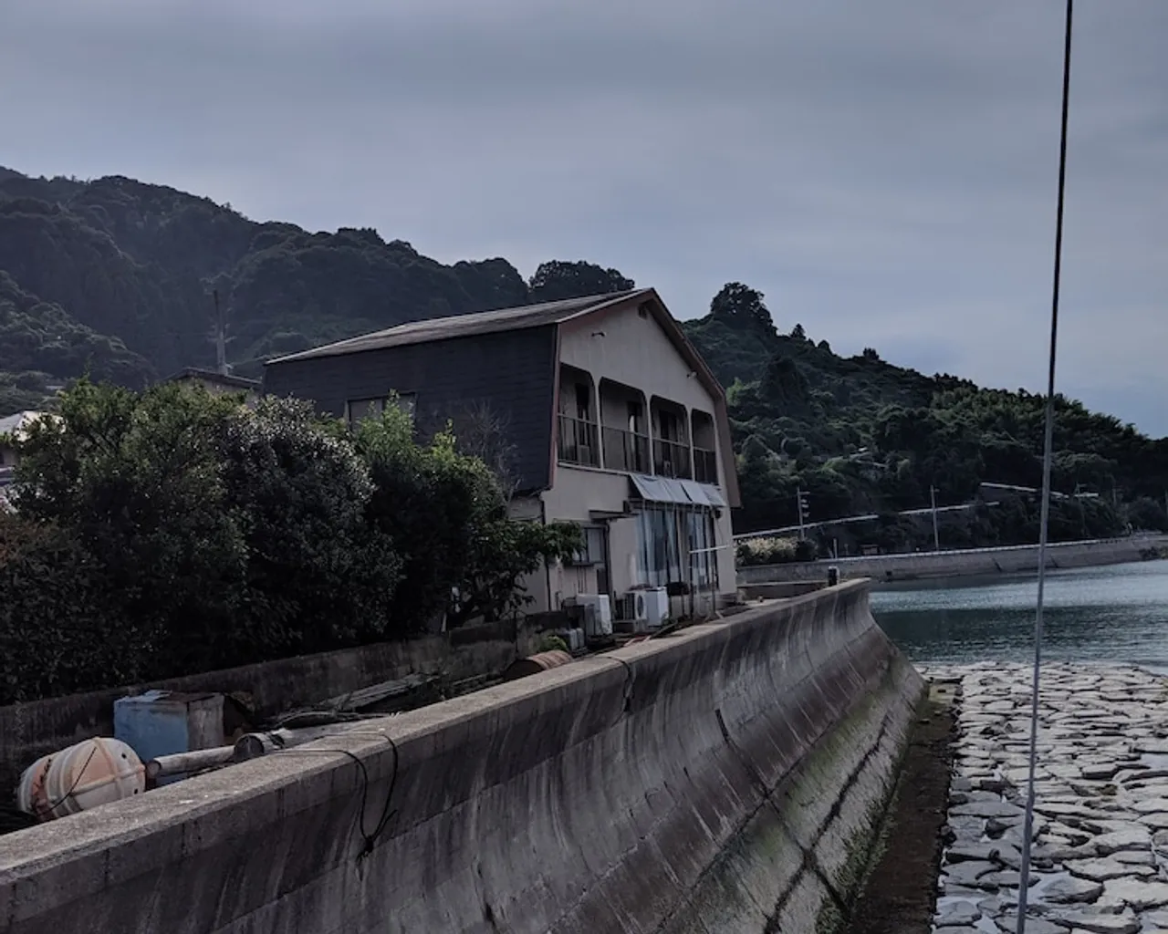기본 이미지