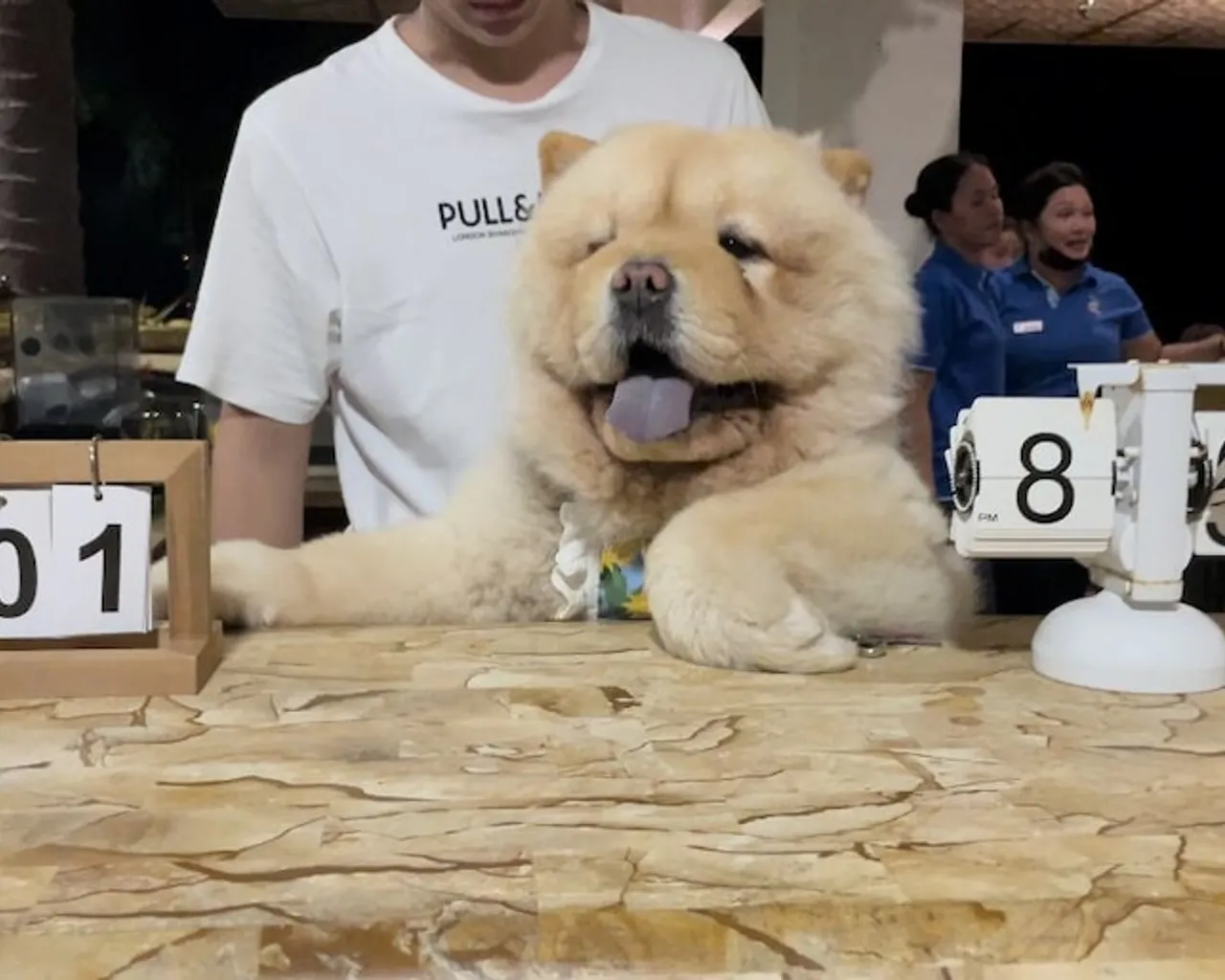 접수