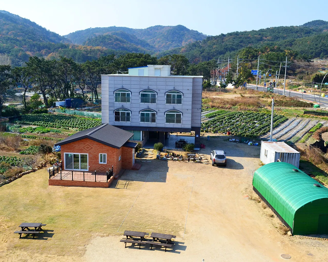 대표 사진