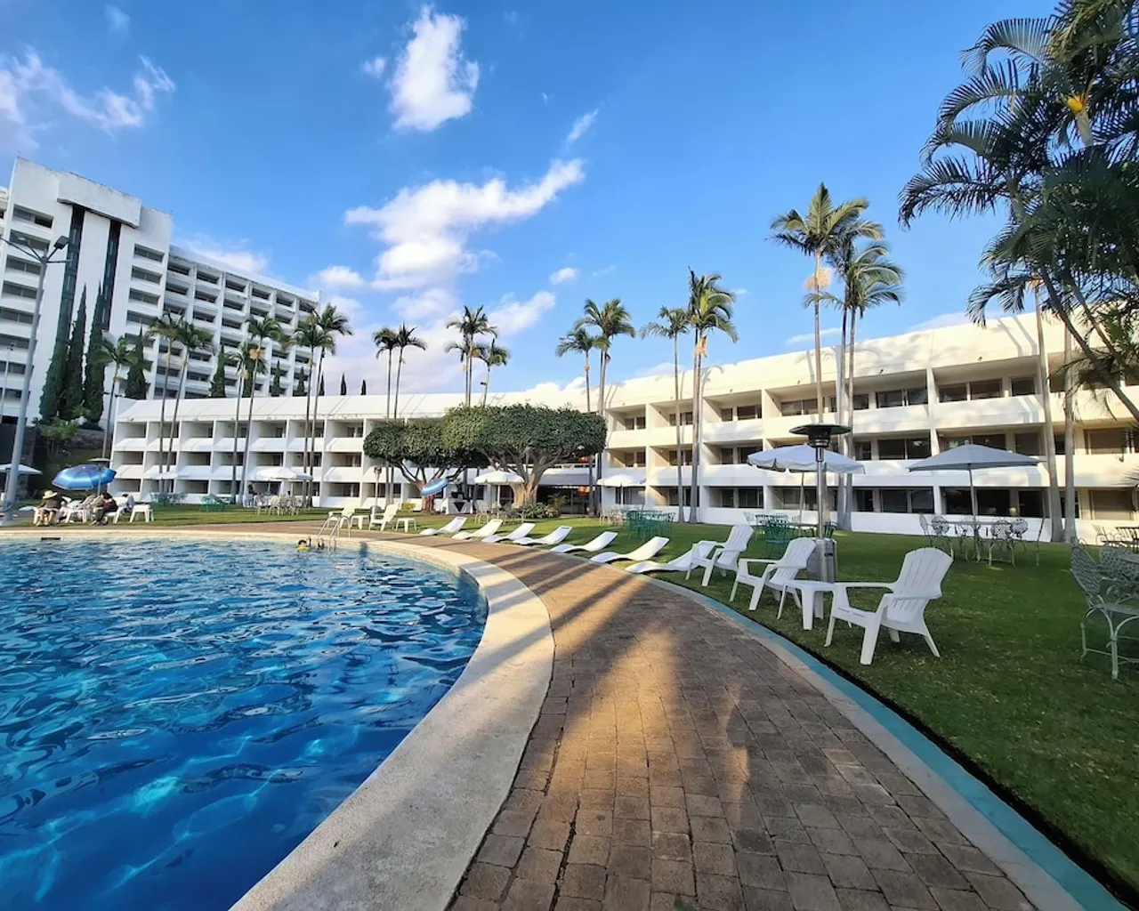 기본 이미지