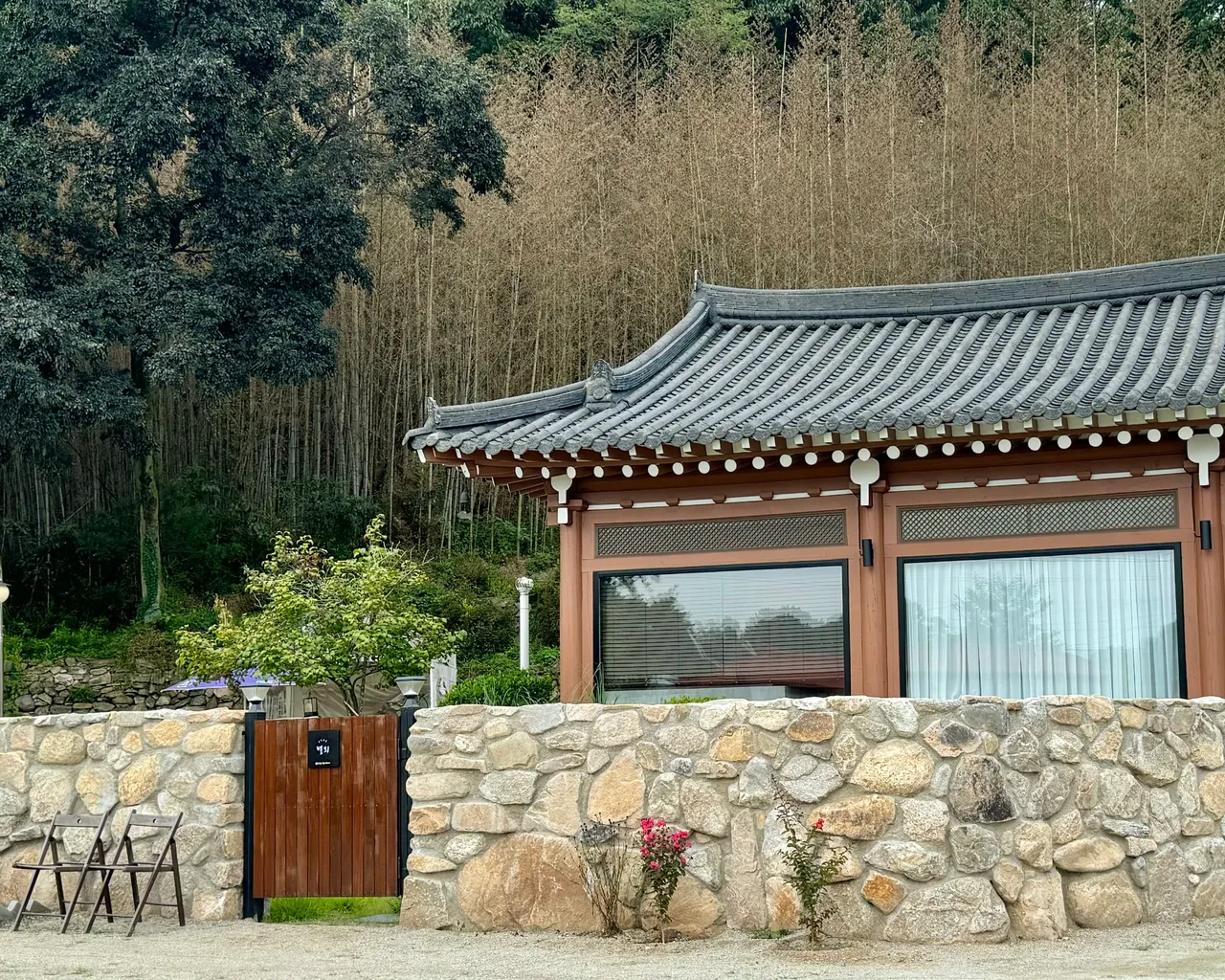 대표 사진