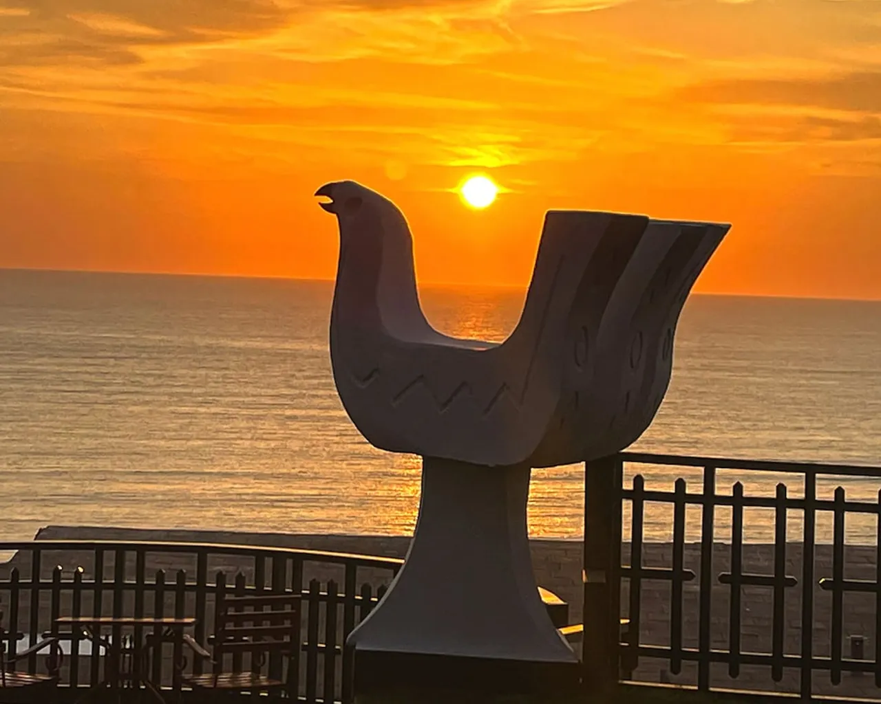 기본 이미지