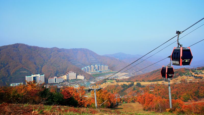 전경