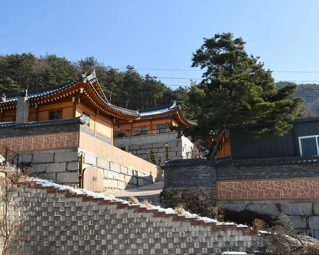 대표 사진