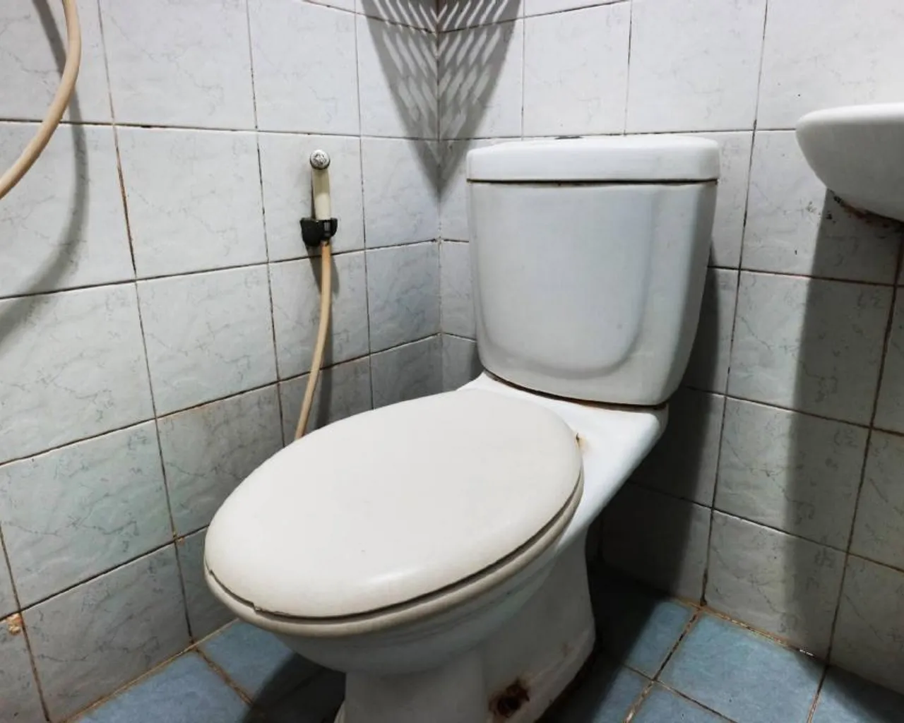 객실 엿보기
