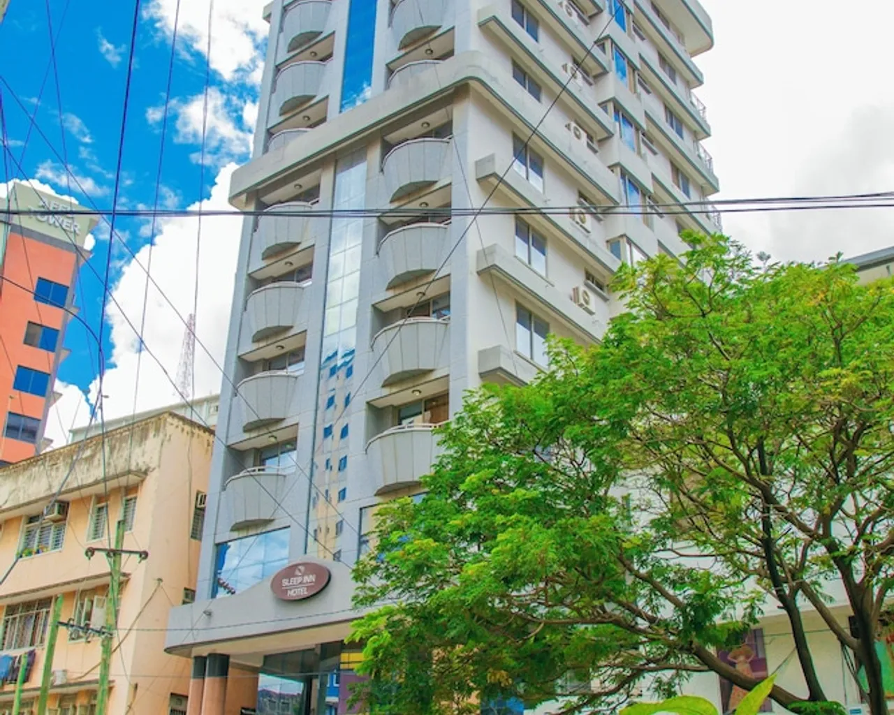 기본 이미지