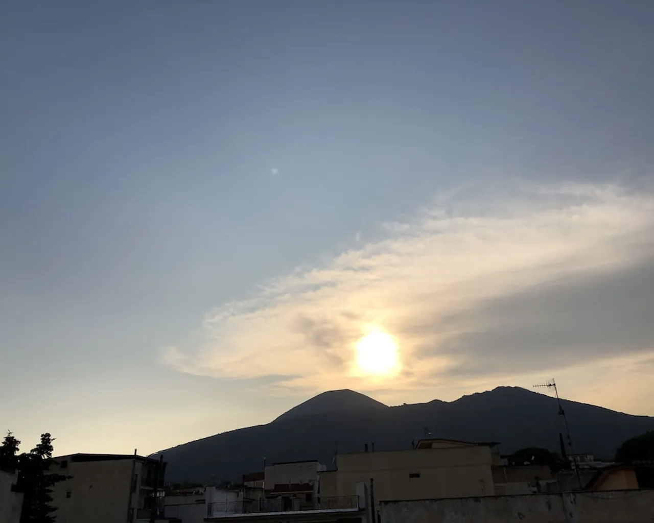 기본 이미지