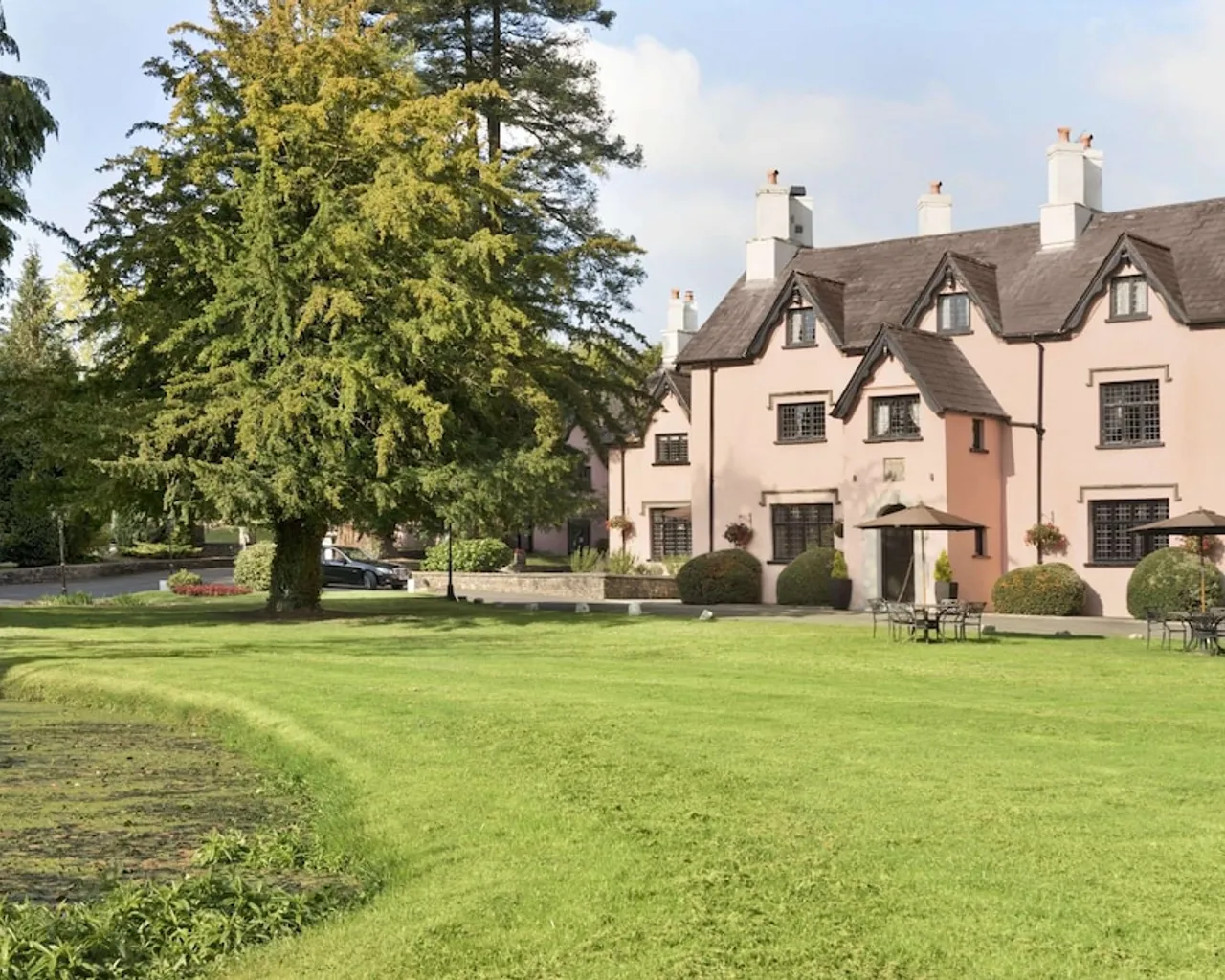 기본 이미지