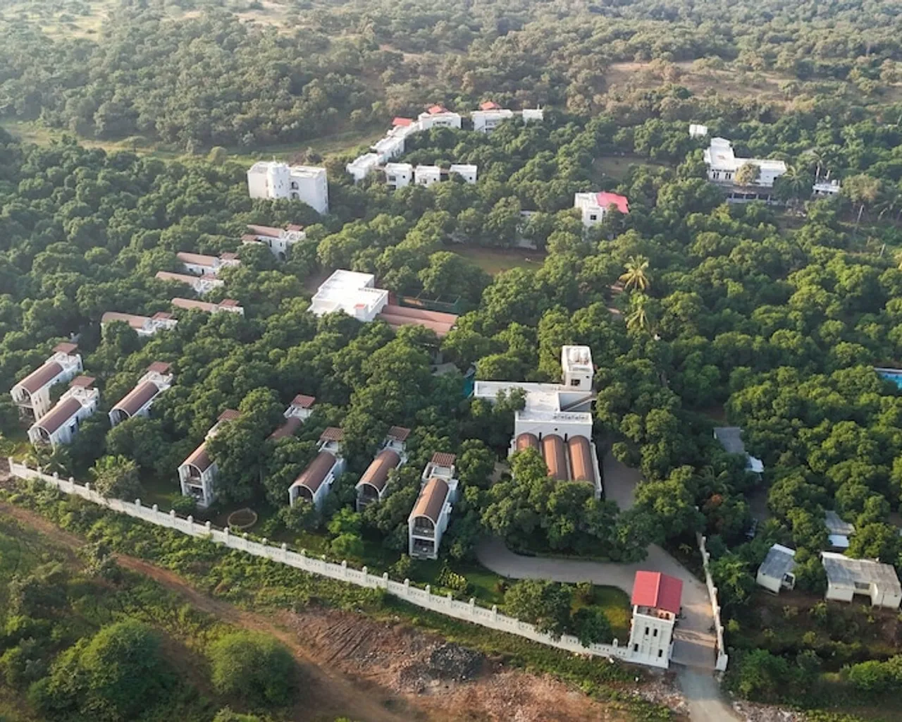 기본 이미지