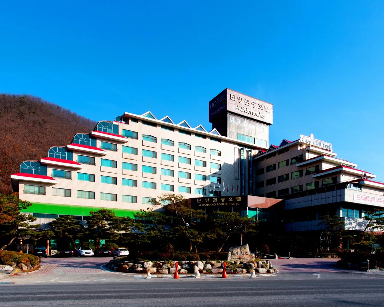 대표 사진