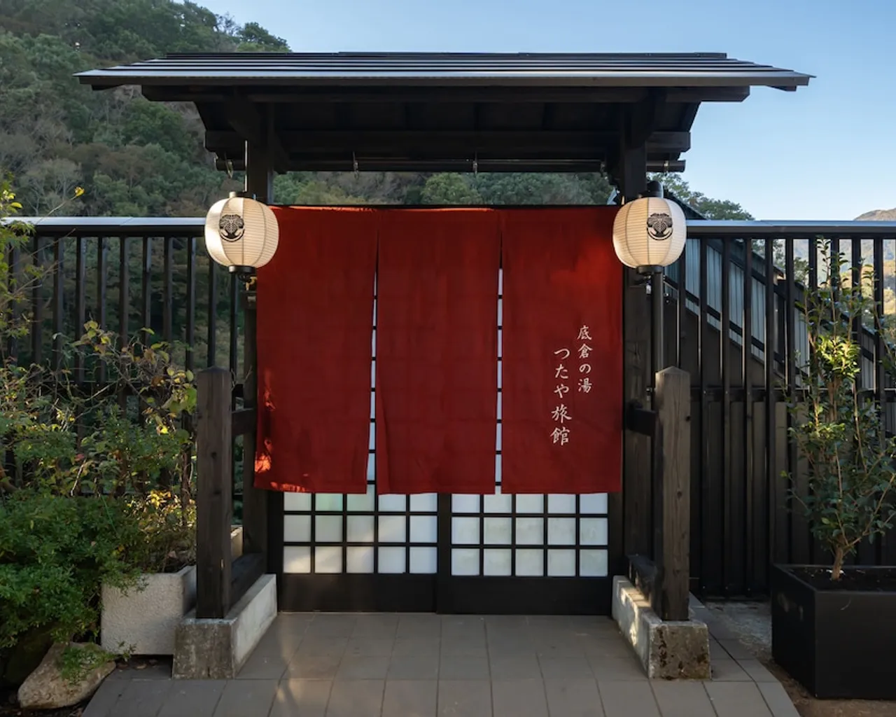 기본 이미지