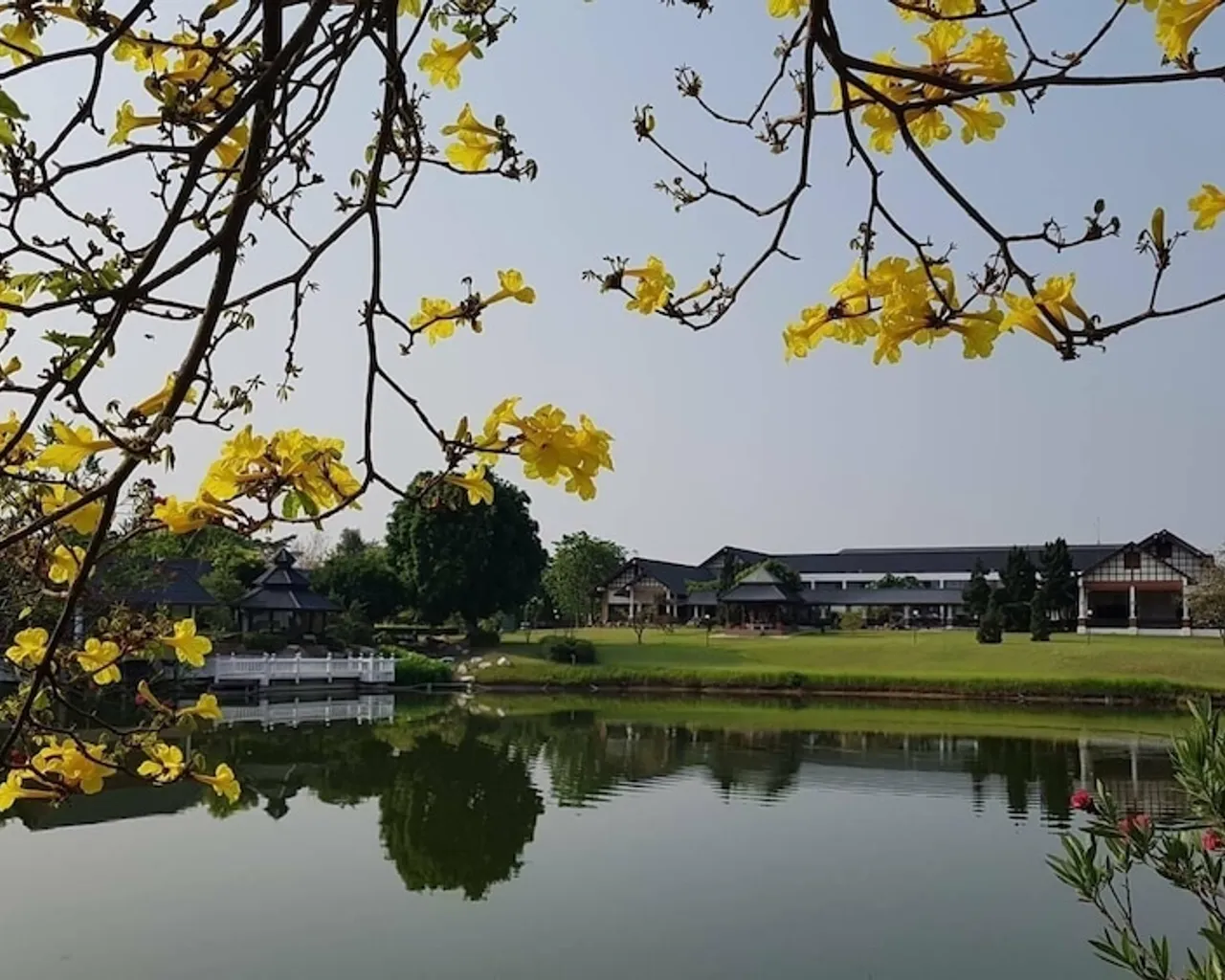 기본 이미지