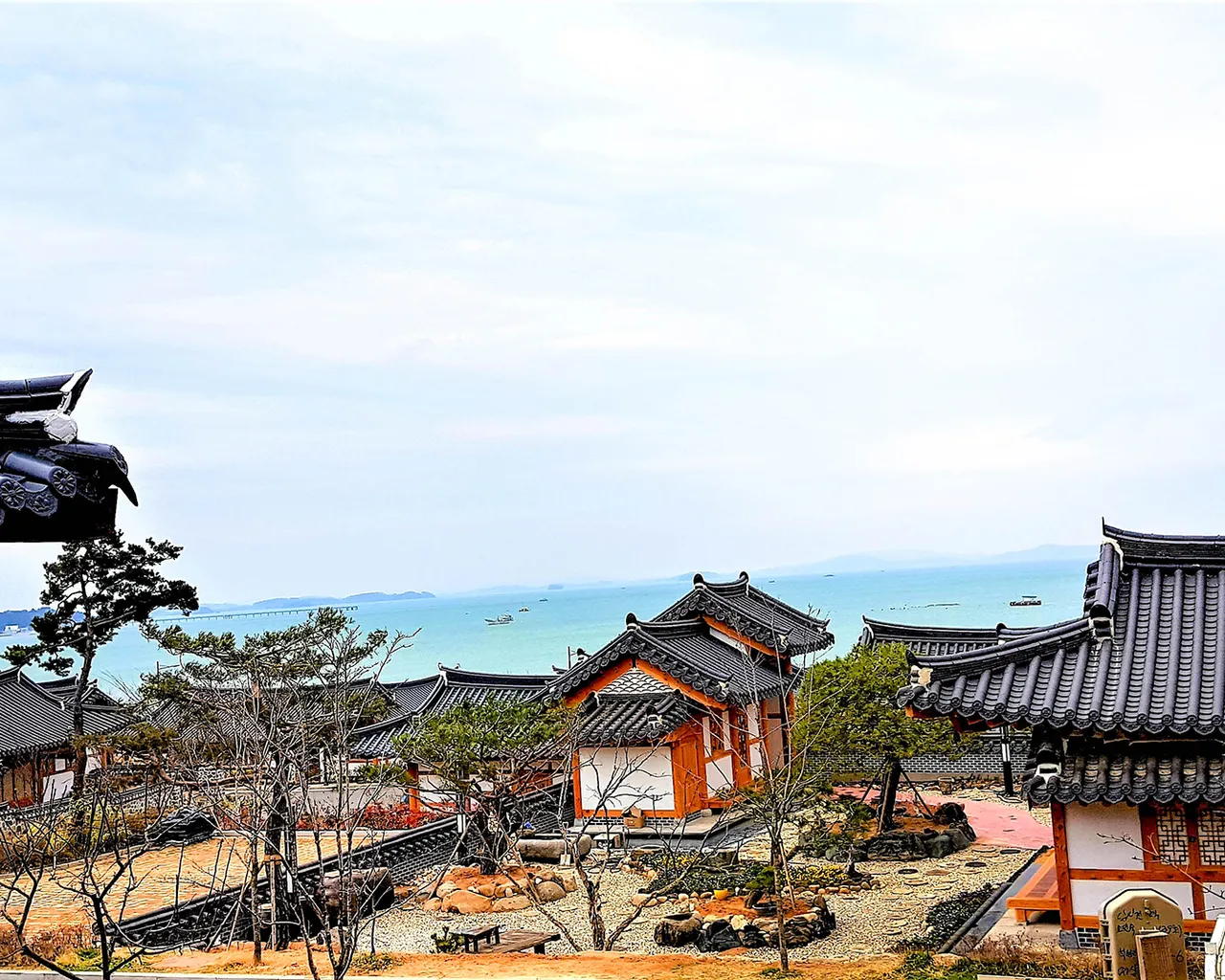 대표 사진