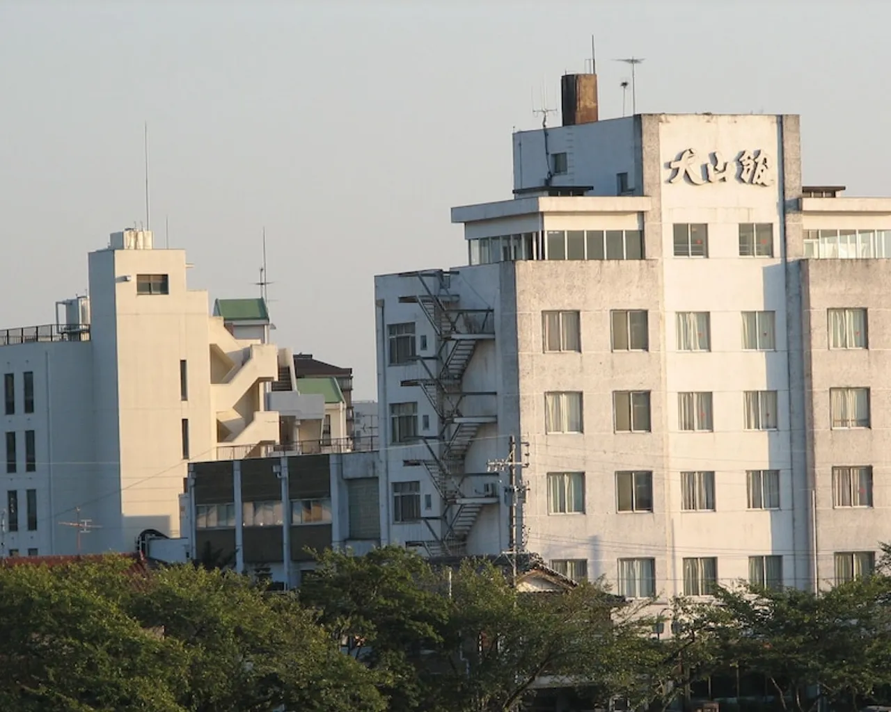 기본 이미지