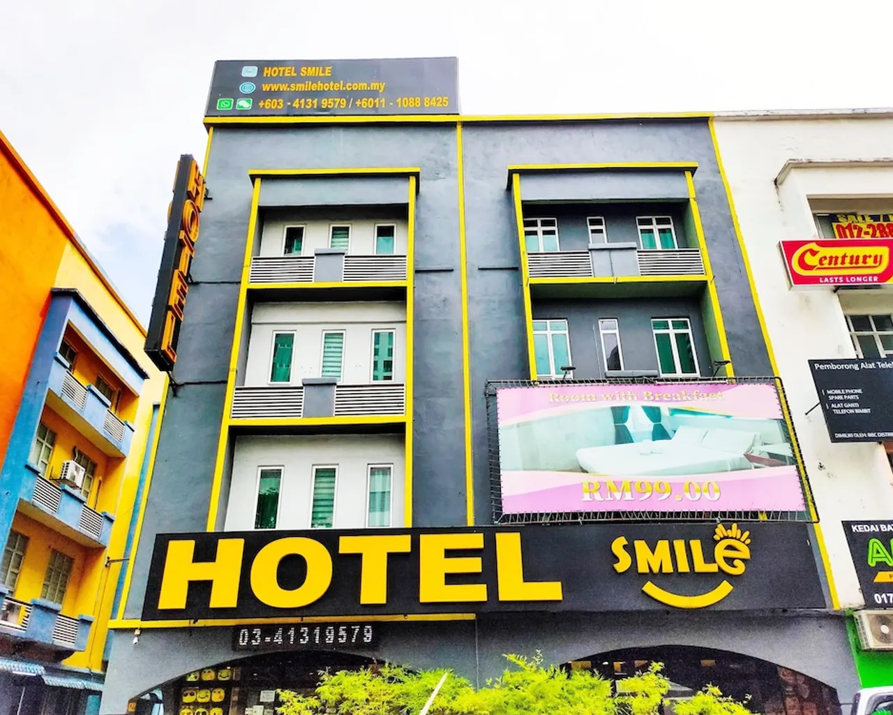 기본 이미지