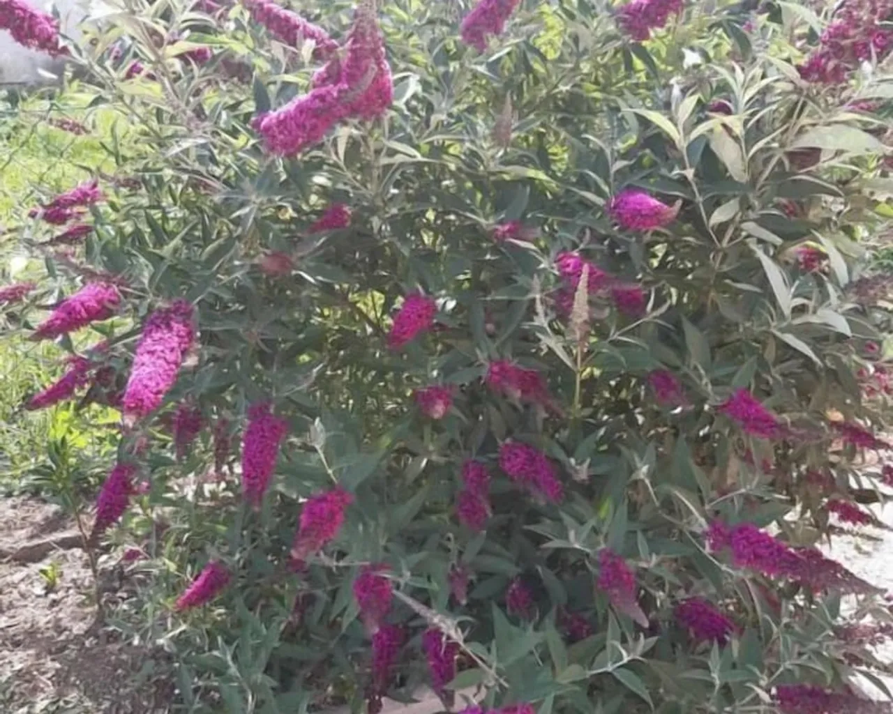 숙소 주변