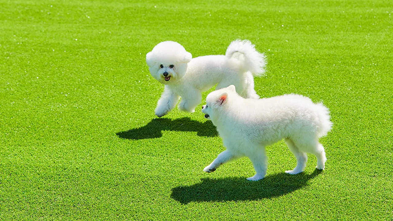 한화리조트 제주 사진