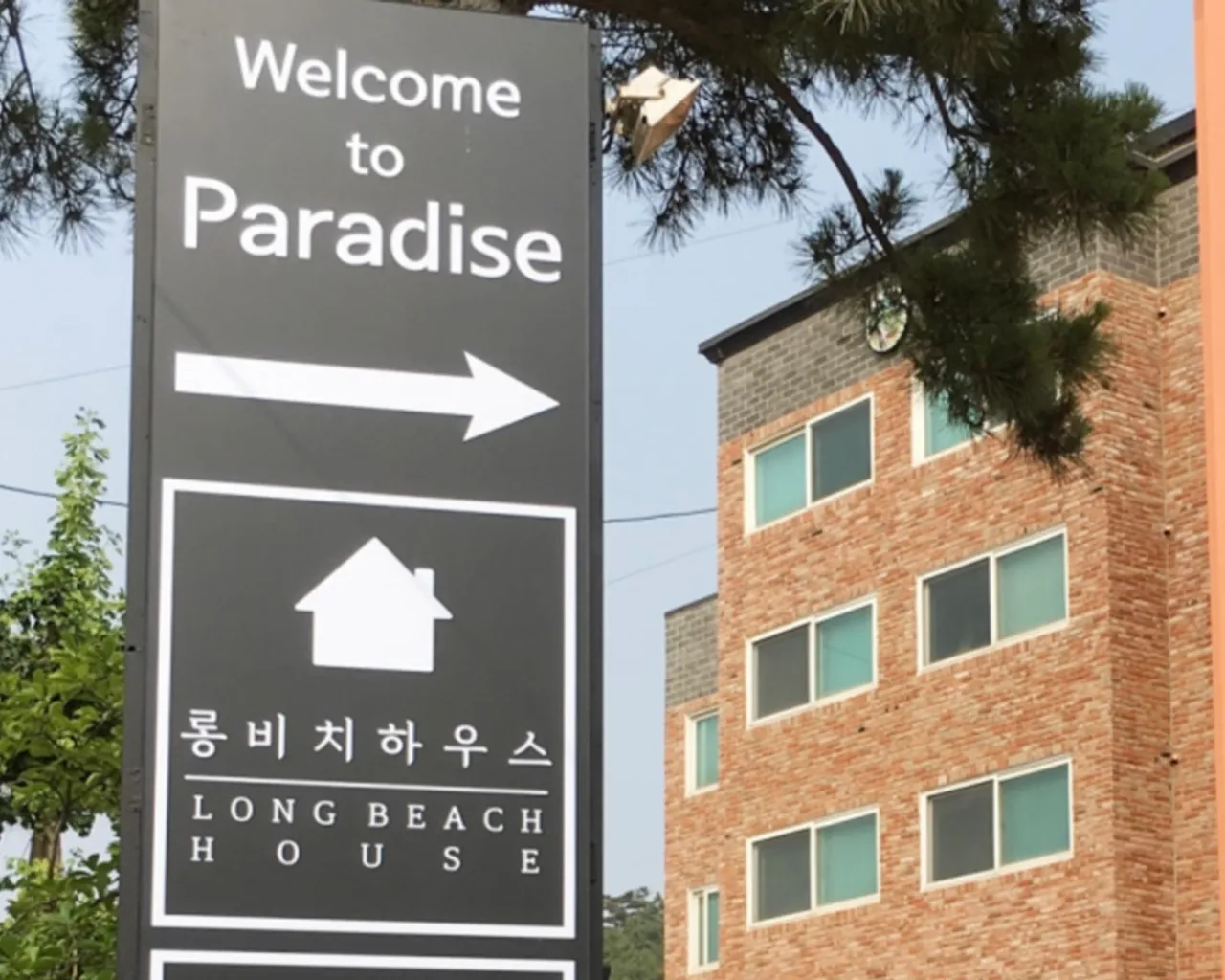 대표 사진