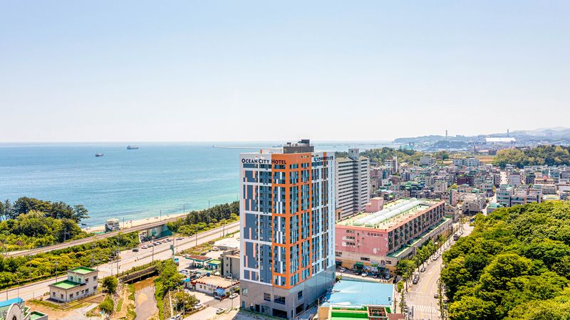 대표사진