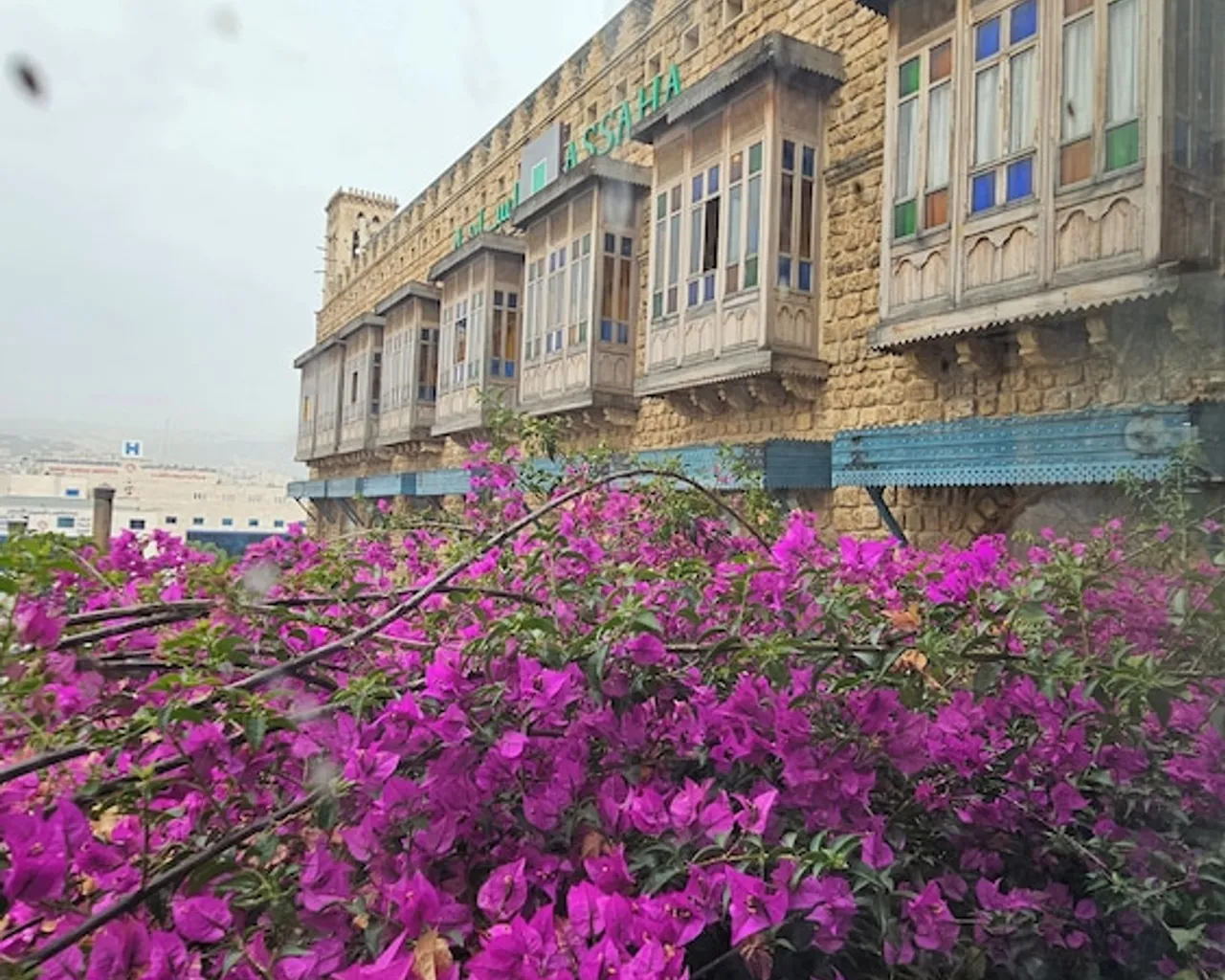 기본 이미지