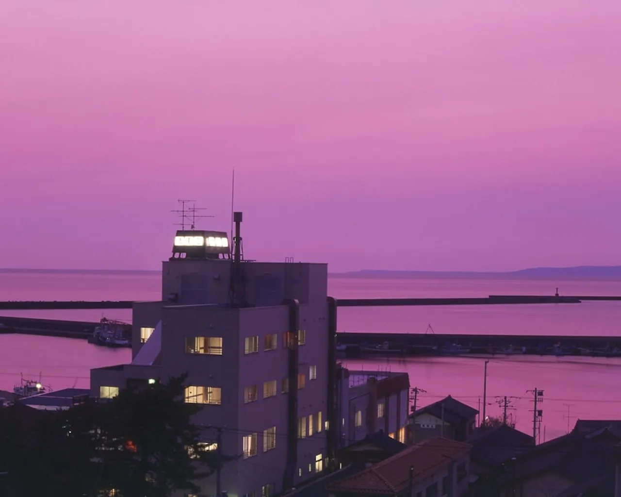 기본 이미지