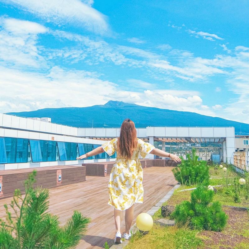 기타