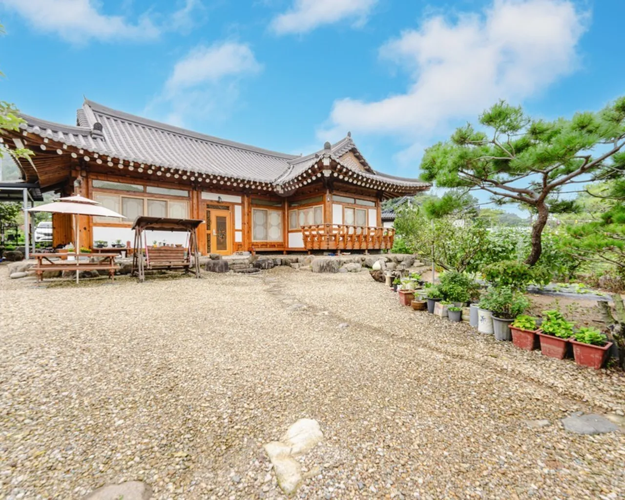 대표 사진