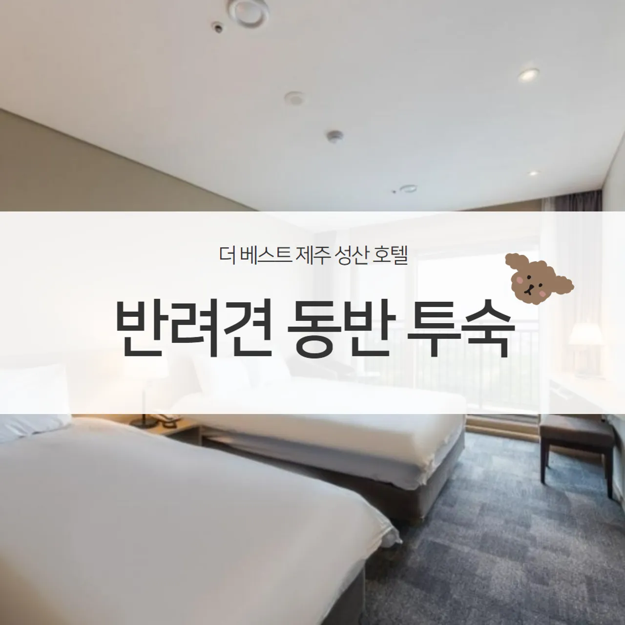 더 베스트 제주 성산 사진