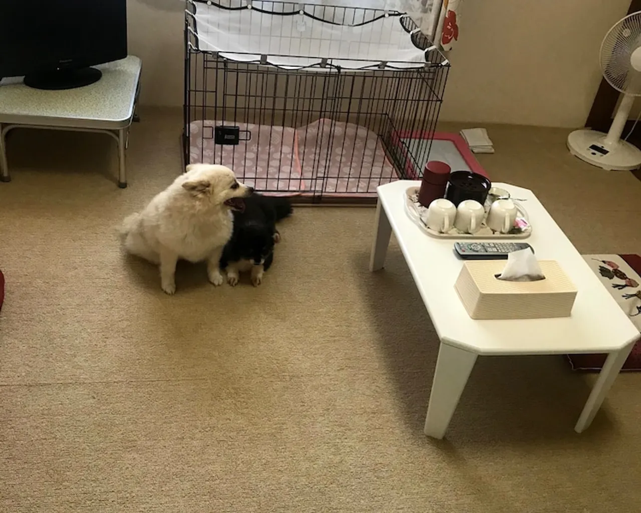 기본 이미지