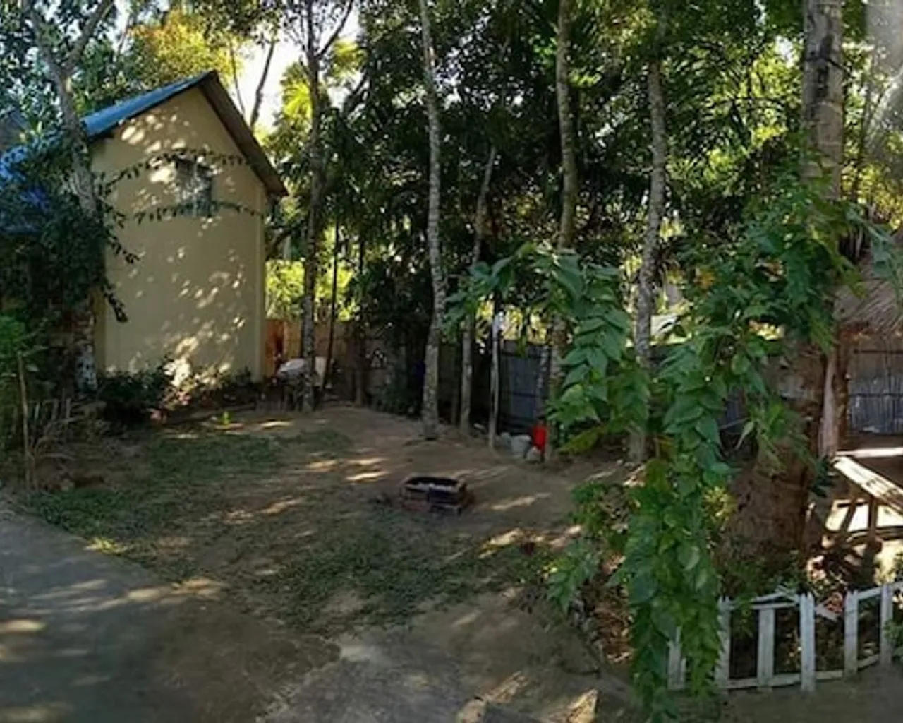 기본 이미지