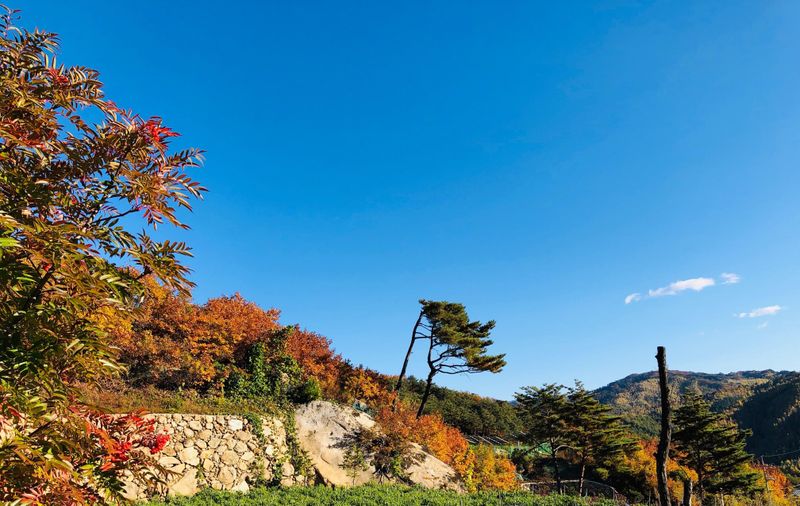 전경