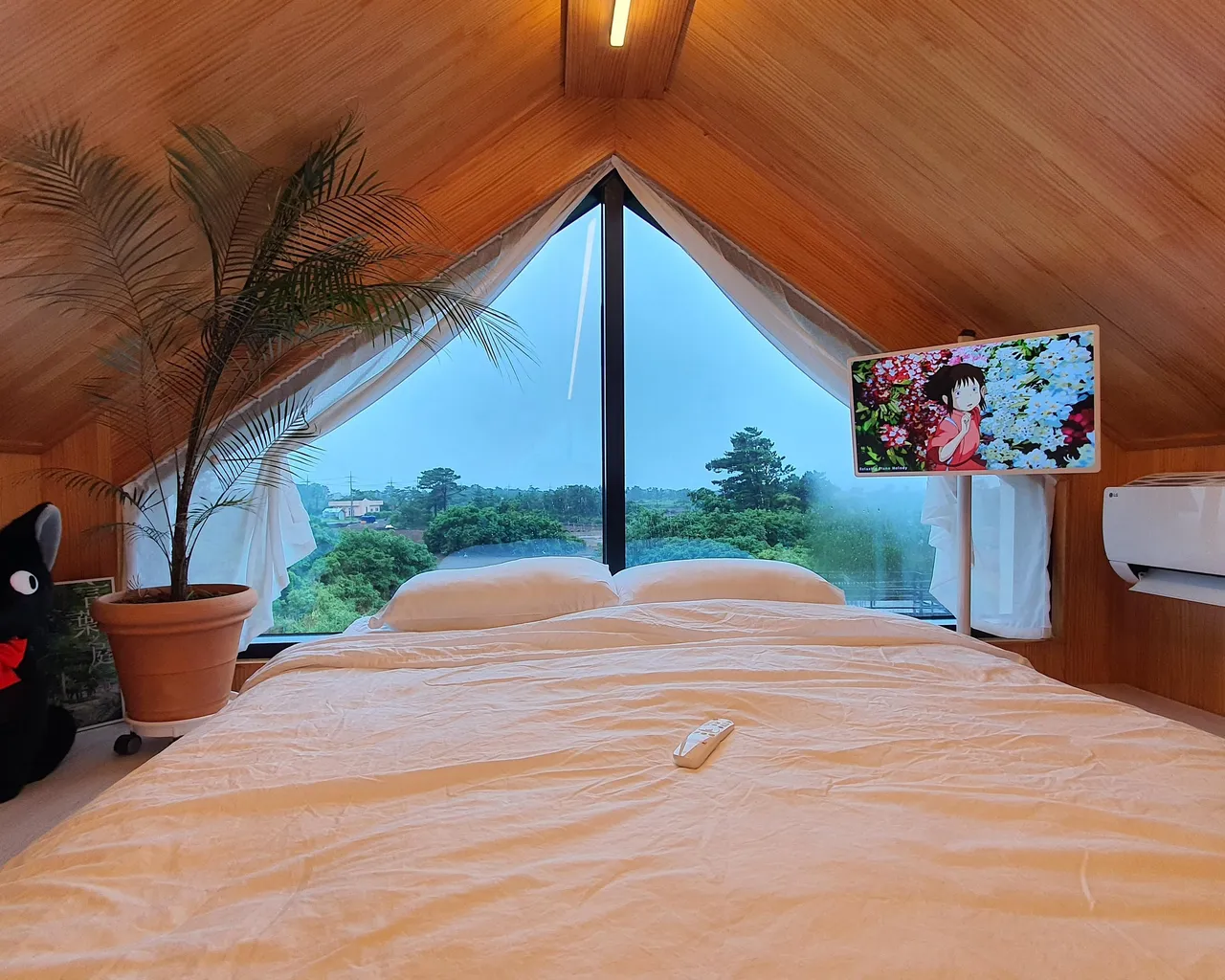 대표 사진