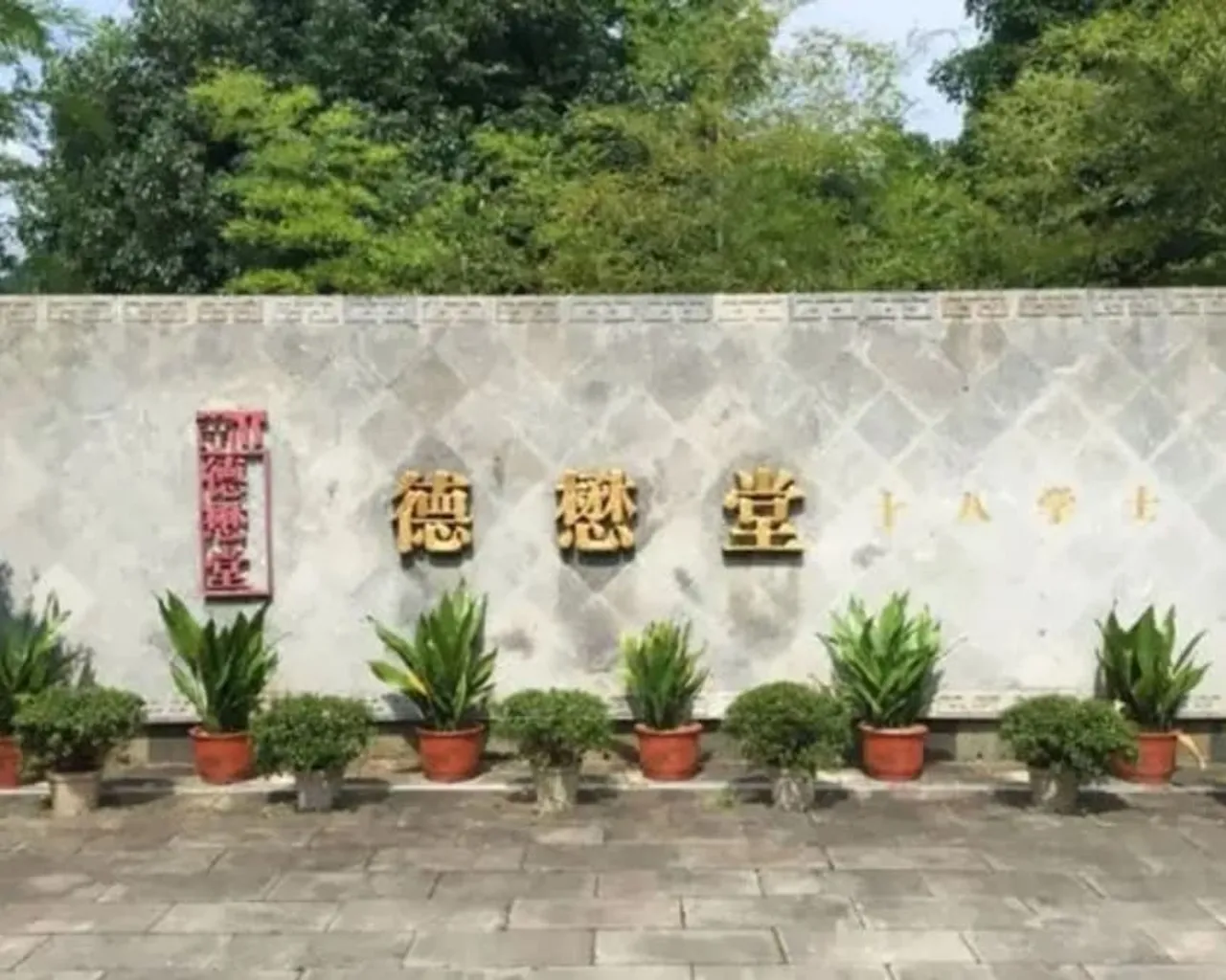 기본 이미지