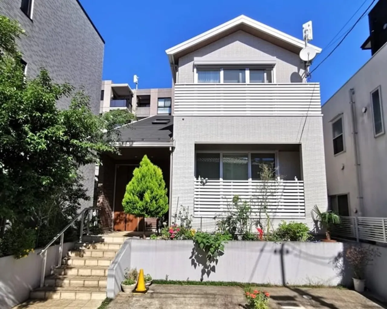 기본 이미지