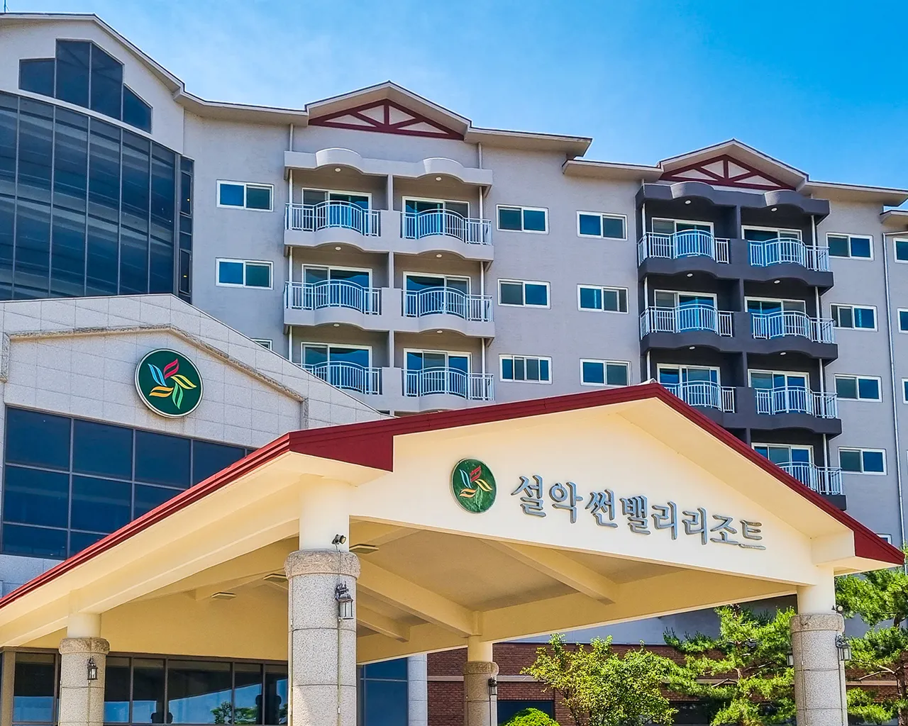 대표 사진