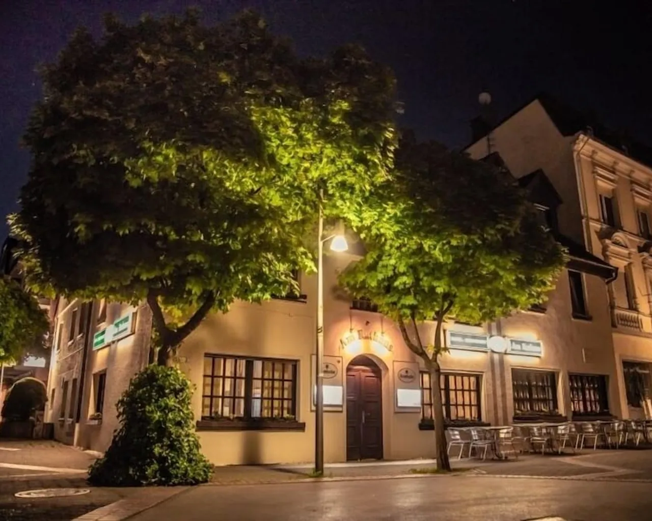 기본 이미지