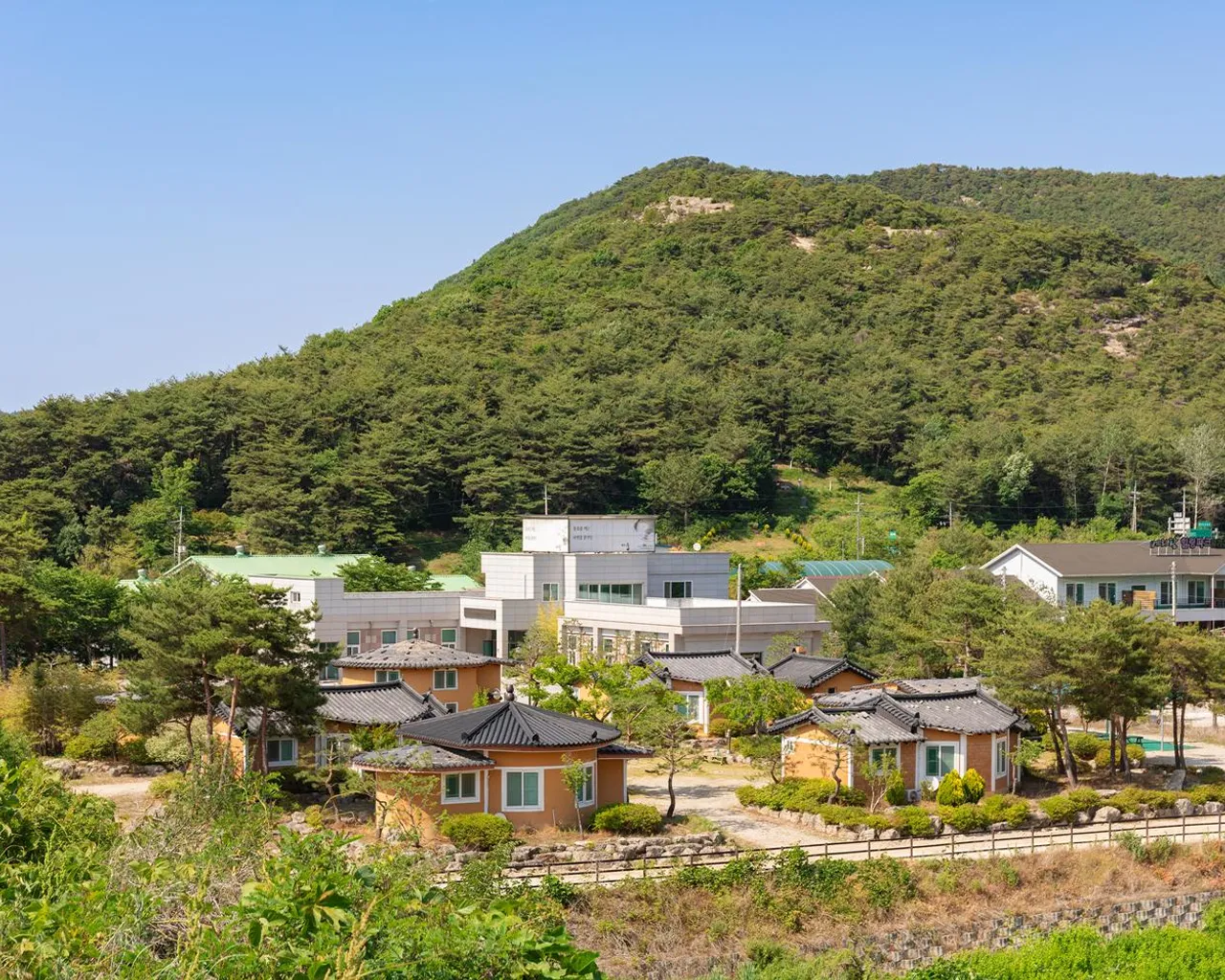 대표 사진