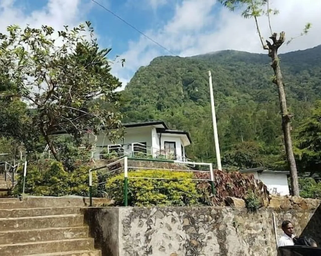 기본 이미지