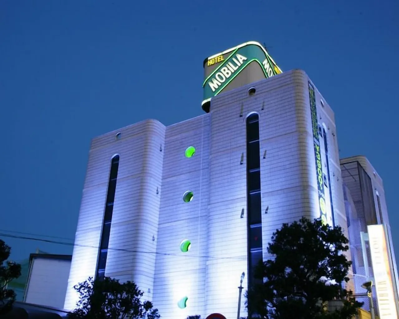 기본 이미지
